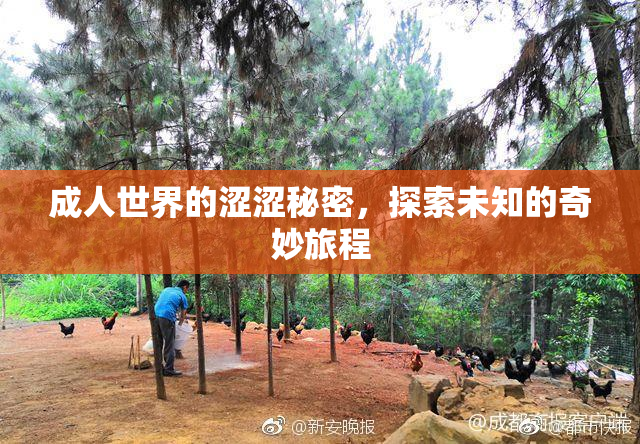 成人世界的涩涩秘密，探索未知的奇妙旅程
