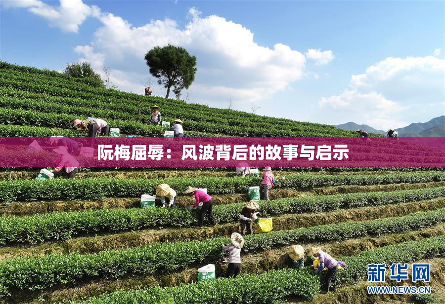 阮梅屈辱：风波背后的故事与启示