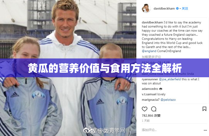 黄瓜的营养价值与食用方法全解析