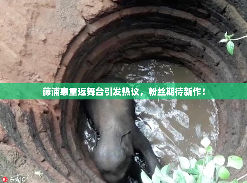 藤浦惠重返舞台引发热议，粉丝期待新作！