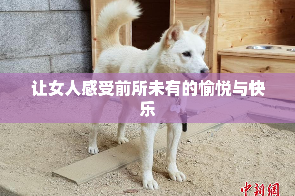 让女人感受前所未有的愉悦与快乐