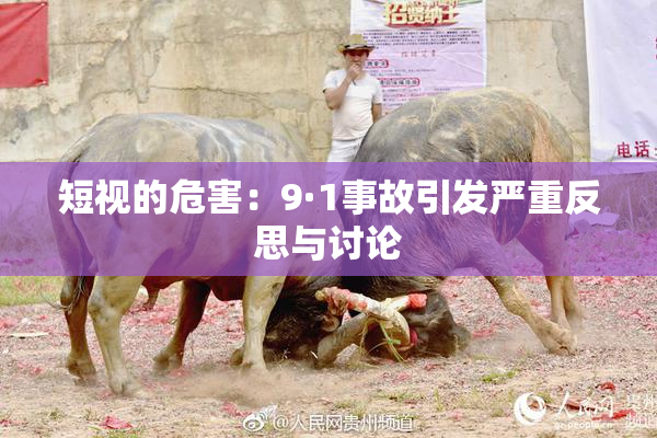短视的危害：9·1事故引发严重反思与讨论
