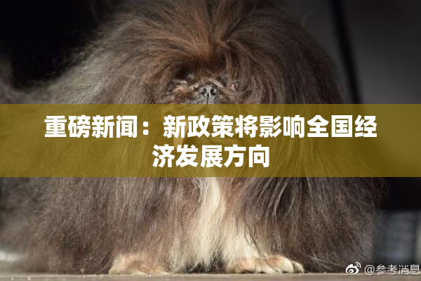重磅新闻：新政策将影响全国经济发展方向
