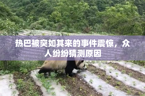热巴被突如其来的事件震惊，众人纷纷猜测原因