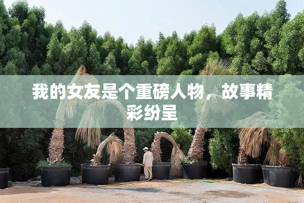 我的女友是个重磅人物，故事精彩纷呈