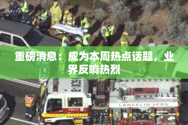 重磅消息：成为本周热点话题，业界反响热烈