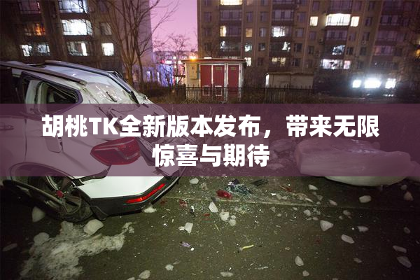 胡桃TK全新版本发布，带来无限惊喜与期待