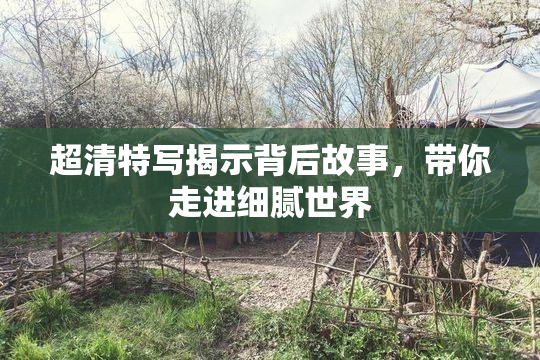 超清特写揭示背后故事，带你走进细腻世界