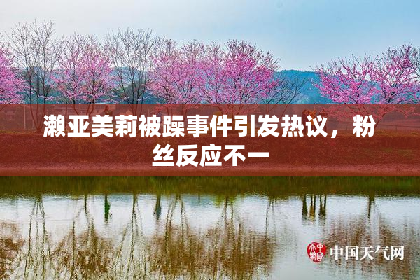 濑亚美莉被躁事件引发热议，粉丝反应不一