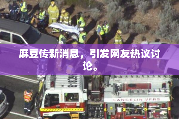 麻豆传新消息，引发网友热议讨论。