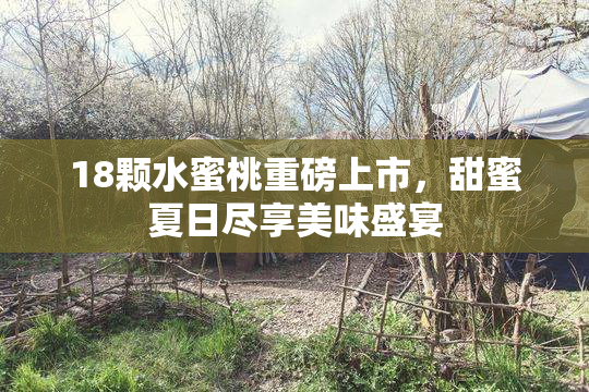18颗水蜜桃重磅上市，甜蜜夏日尽享美味盛宴