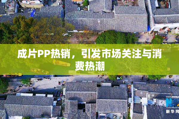 成片PP热销，引发市场关注与消费热潮