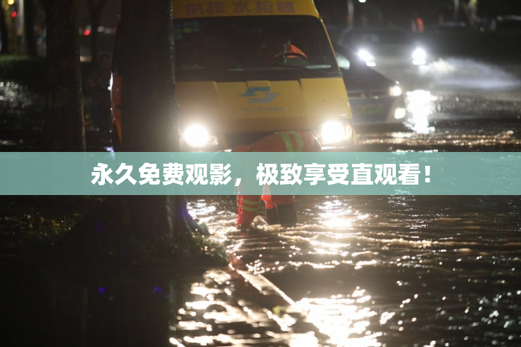 永久免费观影，极致享受直观看！