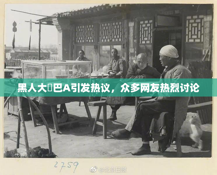 黑人大鷄巴A引发热议，众多网友热烈讨论