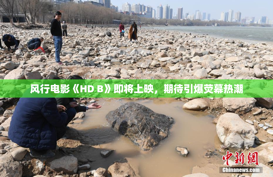 风行电影《HD B》即将上映，期待引爆荧幕热潮