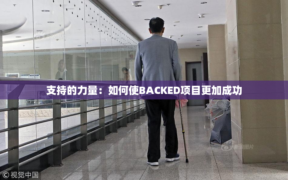 支持的力量：如何使BACKED项目更加成功