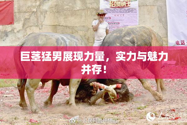 巨茎猛男展现力量，实力与魅力并存！