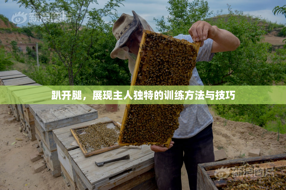 趴开腿，展现主人独特的训练方法与技巧