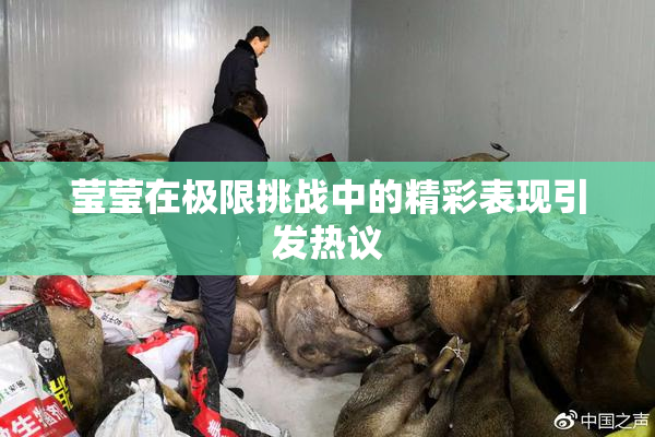 莹莹在极限挑战中的精彩表现引发热议