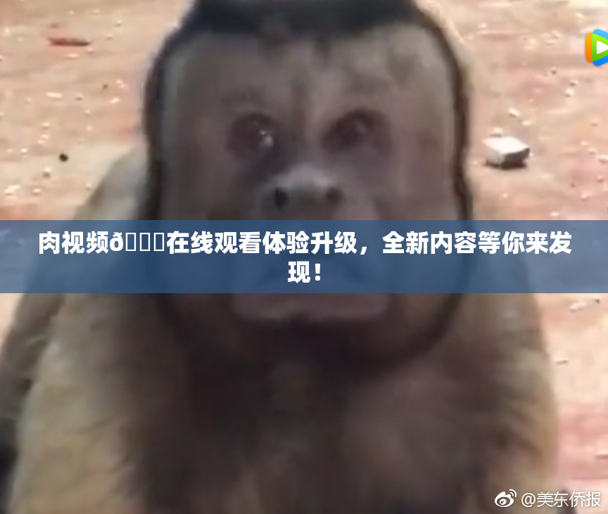 肉视频🔞在线观看体验升级，全新内容等你来发现！