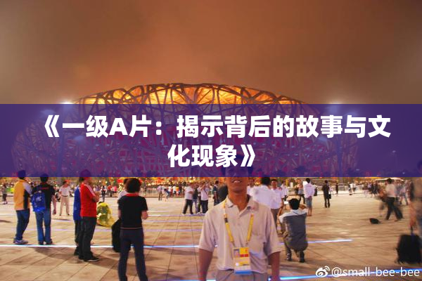 《一级A片：揭示背后的故事与文化现象》