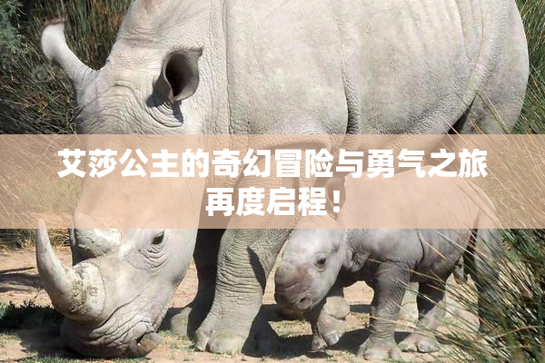 艾莎公主的奇幻冒险与勇气之旅再度启程！