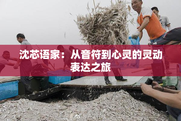 沈芯语家：从音符到心灵的灵动表达之旅