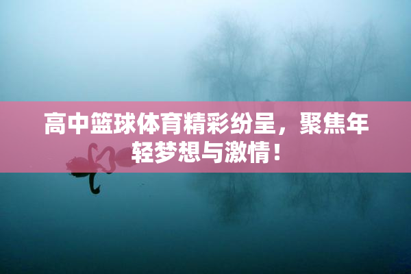 高中篮球体育精彩纷呈，聚焦年轻梦想与激情！
