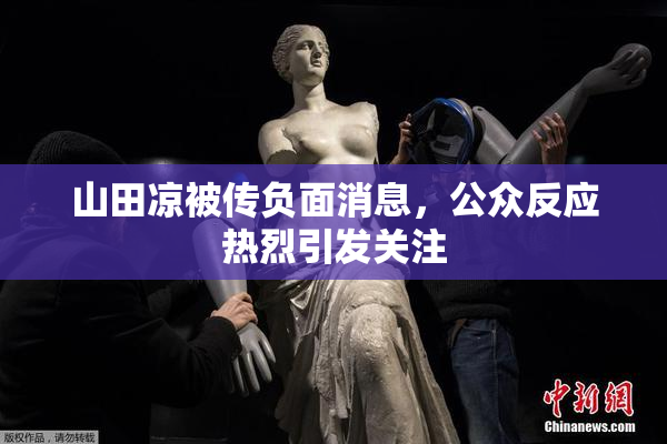 山田凉被传负面消息，公众反应热烈引发关注