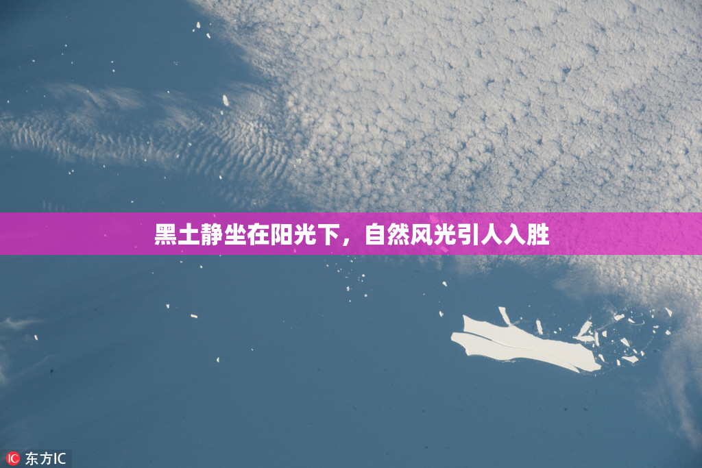 黑土静坐在阳光下，自然风光引人入胜