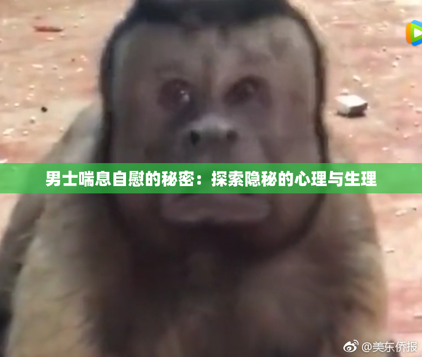 男士喘息自慰的秘密：探索隐秘的心理与生理