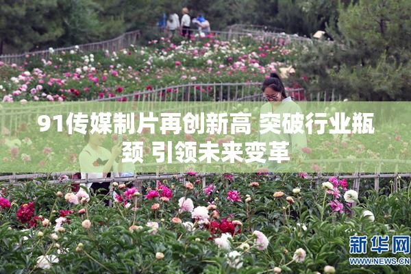 91传媒制片再创新高 突破行业瓶颈 引领未来变革