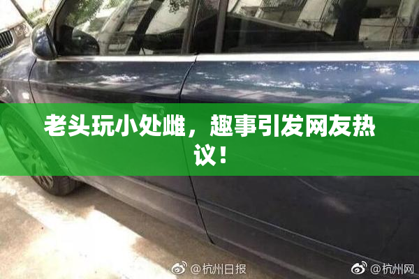 老头玩小处雌，趣事引发网友热议！