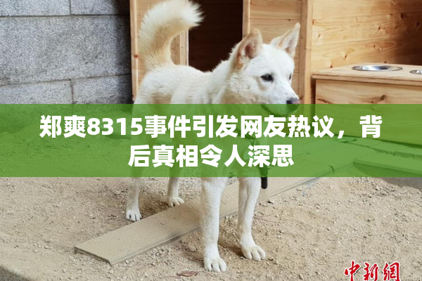 郑爽8315事件引发网友热议，背后真相令人深思