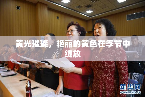 黄光璀璨，艳丽的黄色在季节中绽放
