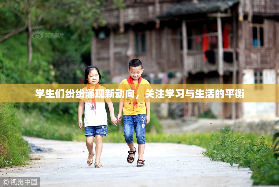 学生们纷纷涌现新动向，关注学习与生活的平衡
