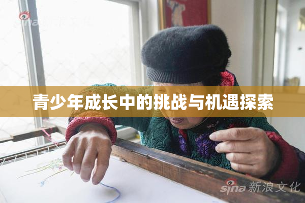 青少年成长中的挑战与机遇探索