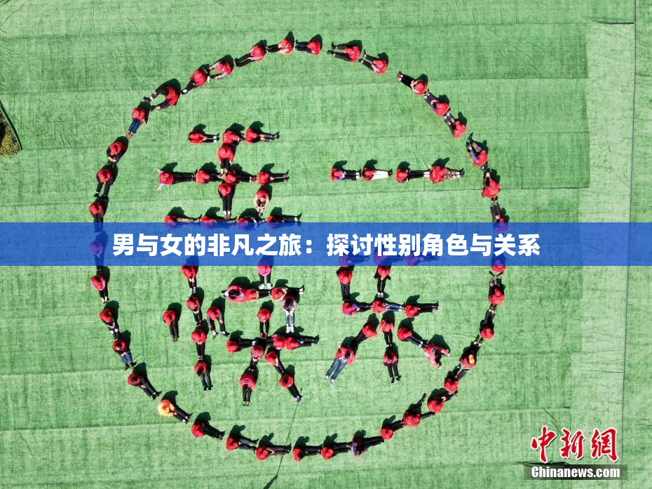 男与女的非凡之旅：探讨性别角色与关系