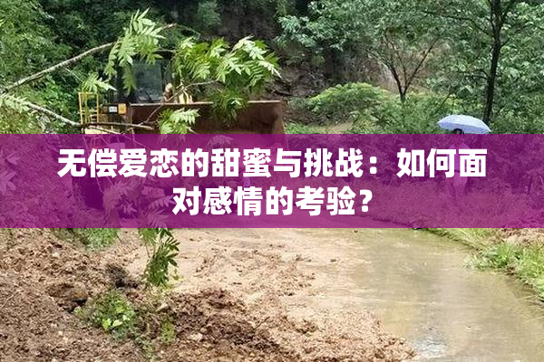 无偿爱恋的甜蜜与挑战：如何面对感情的考验？