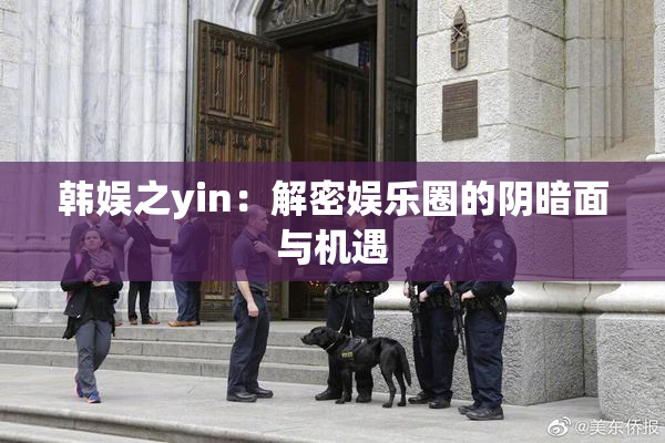 韩娱之yin：解密娱乐圈的阴暗面与机遇