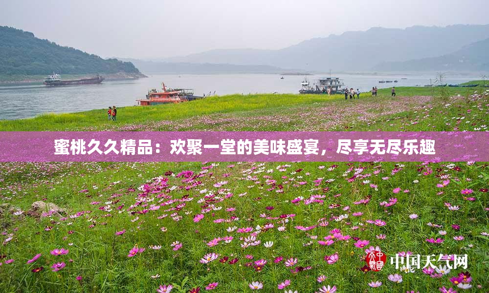 蜜桃久久精品：欢聚一堂的美味盛宴，尽享无尽乐趣