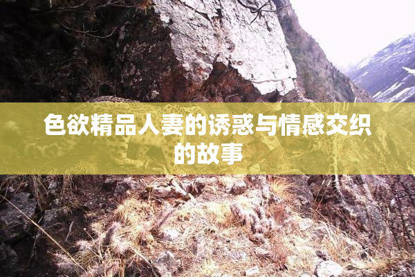 色欲精品人妻的诱惑与情感交织的故事