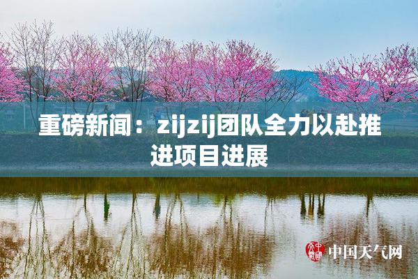 重磅新闻：zijzij团队全力以赴推进项目进展