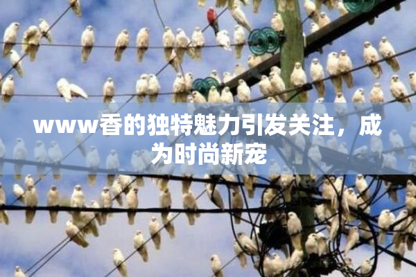 www香的独特魅力引发关注，成为时尚新宠