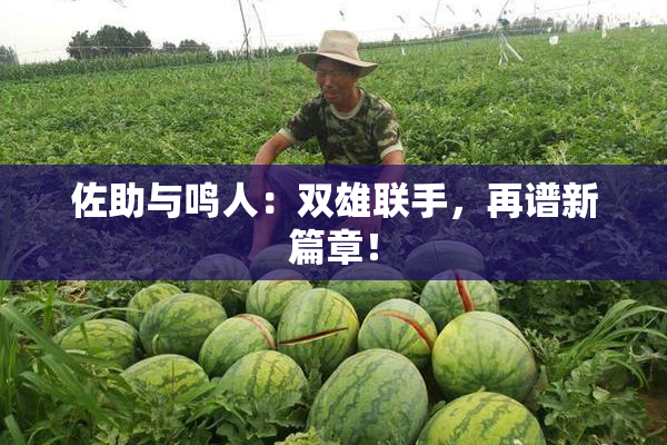 佐助与鸣人：双雄联手，再谱新篇章！