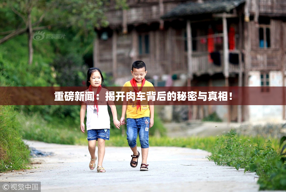 重磅新闻：揭开肉车背后的秘密与真相！