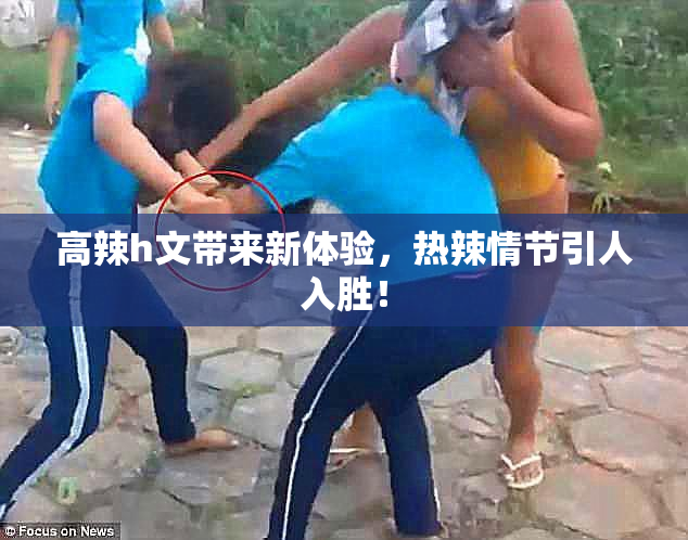 高辣h文带来新体验，热辣情节引人入胜！