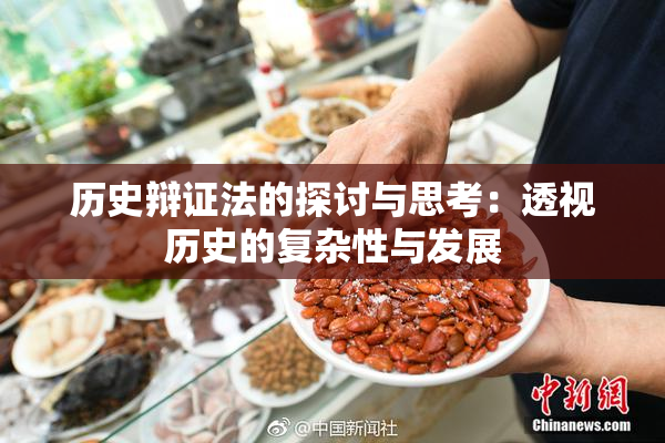 历史辩证法的探讨与思考：透视历史的复杂性与发展