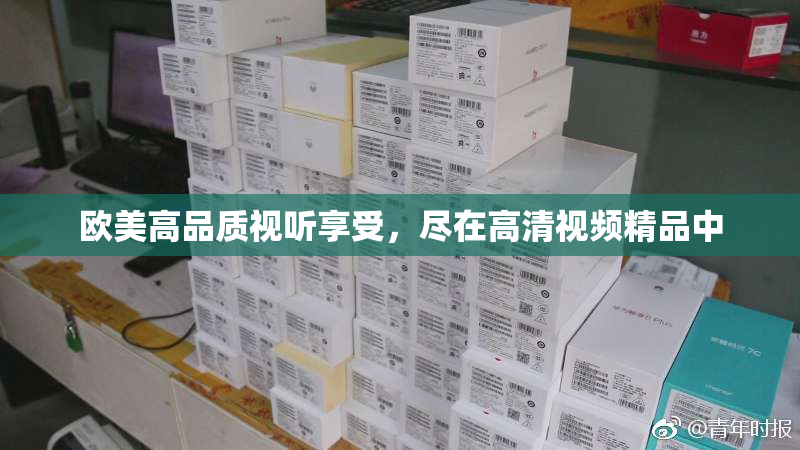 欧美高品质视听享受，尽在高清视频精品中