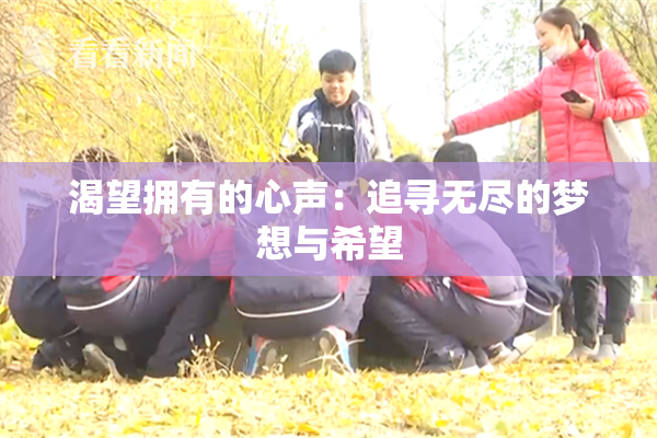 渴望拥有的心声：追寻无尽的梦想与希望